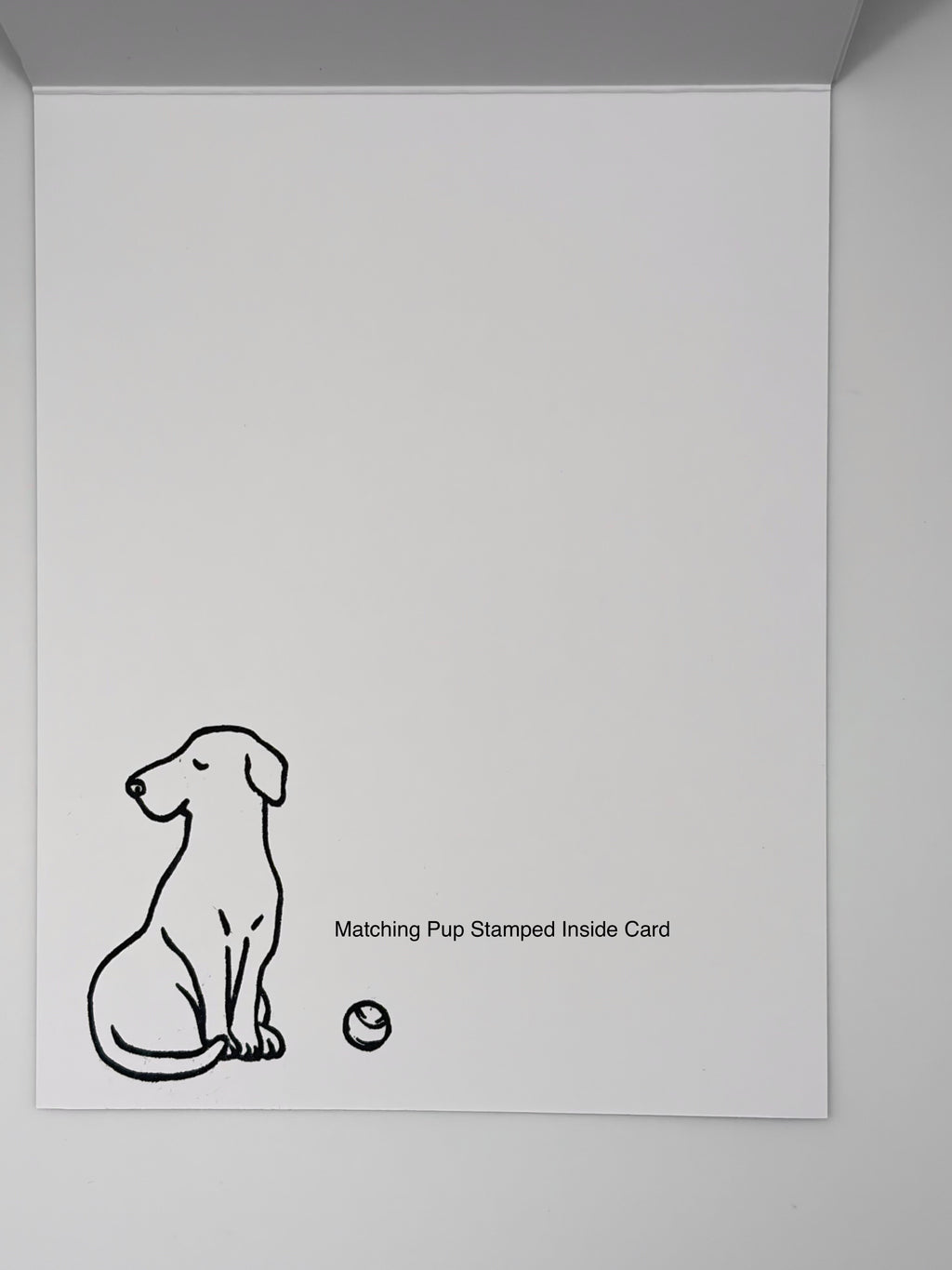 Love is a Four-legged Word